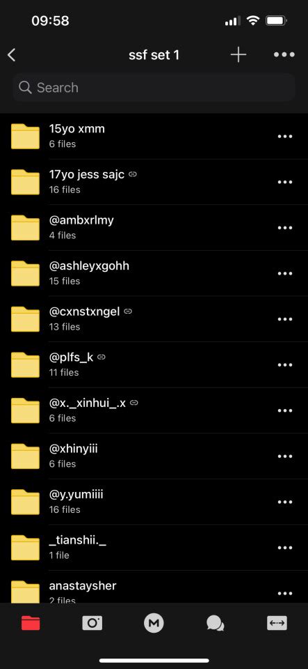 singapore mega folder